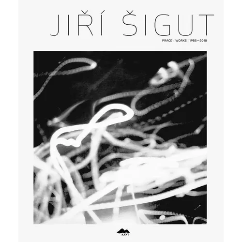 Jiri Sigut: Works 1985-2018
