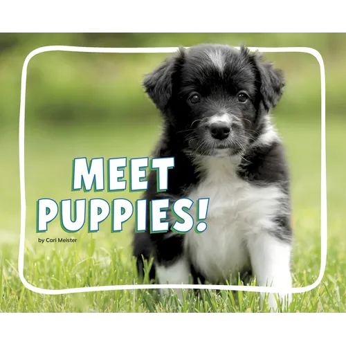 Meet Puppies!