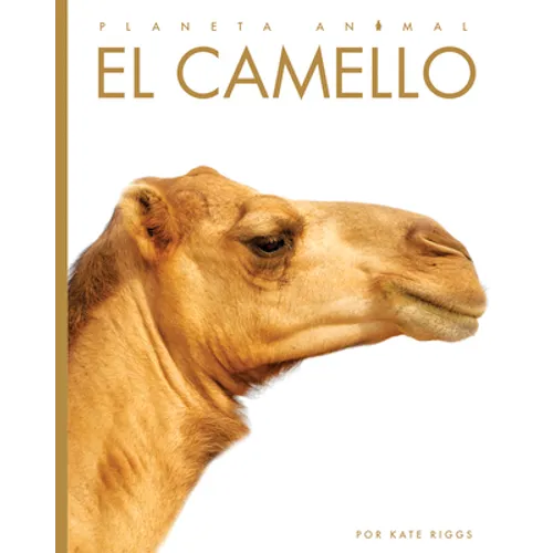 El Camello