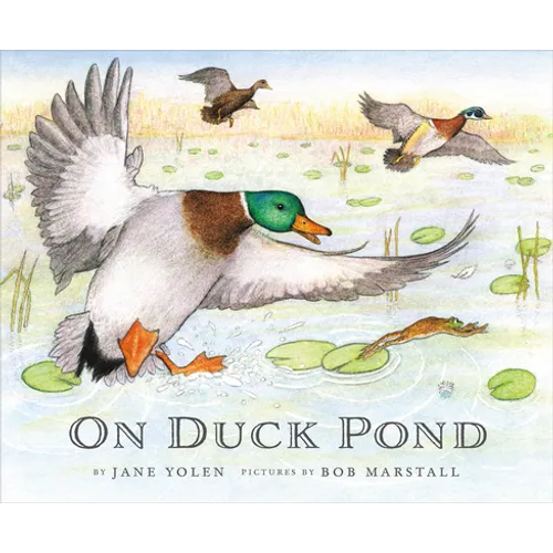On Duck Pond