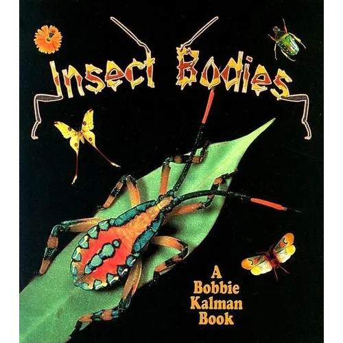 Insect Bodies