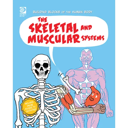The Skeletal and Muscular Systems