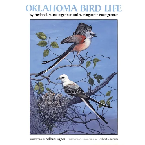 Oklahoma Bird Life
