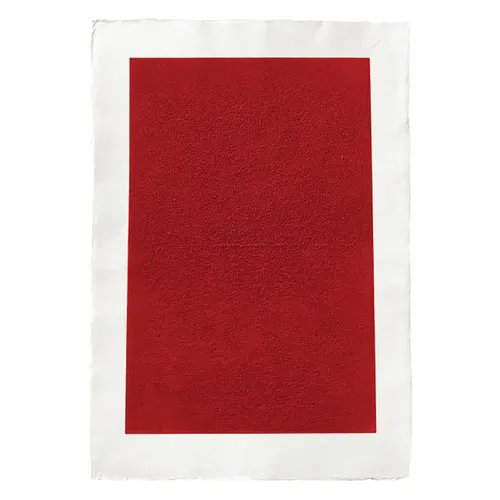 Kees Visser: Monochromes