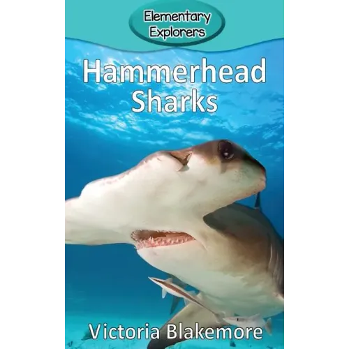 Hammerhead Sharks