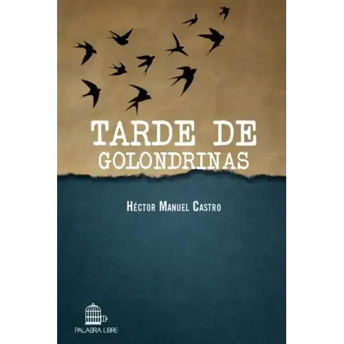 Tarde de golondrinas