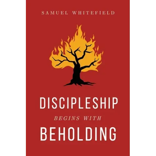 Discipleship Begins with Beholding