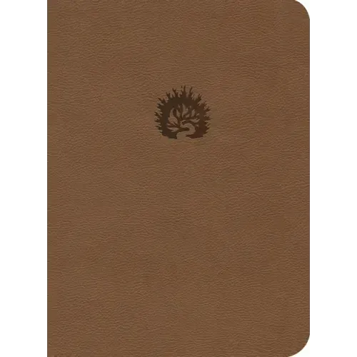 Lbla La Biblia de Estudio de la Reforma, Símil Piel, Café Claro, Spanish Edition