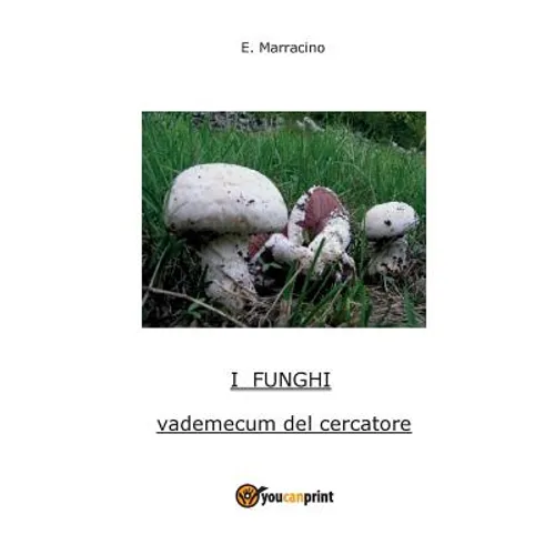 I Funghi