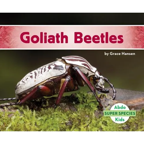 Goliath Beetles