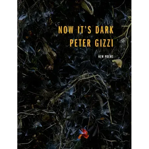 Now It's Dark