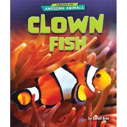 Clown Fish