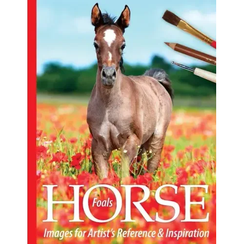 Foals: Horse Images for Artist's Reference and Inspiration