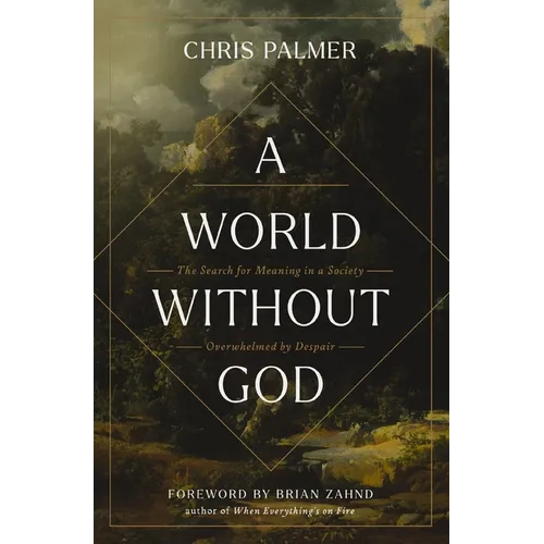 A World Without God: The Search for Meaning in a Society Overwhelmed by Despair - Paperback