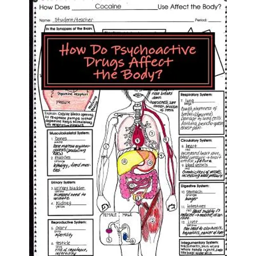 How Do Psychoactive Drugs Affect the Body?: Understanding How Drugs Affect the Synapse and Body Organs