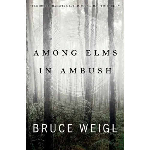 Among Elms, in Ambush