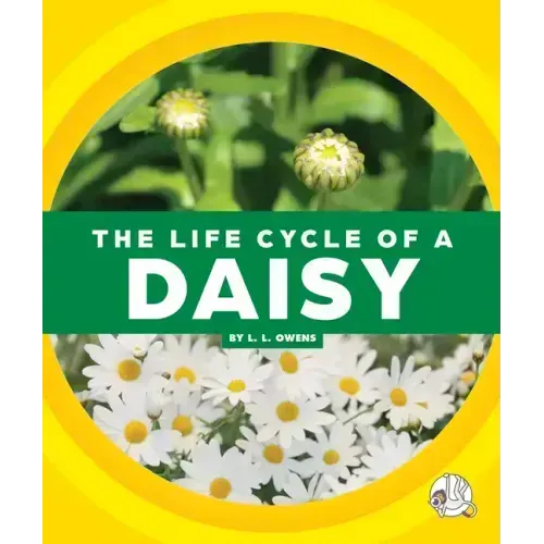 The Life Cycle of a Daisy