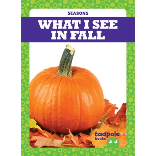 What I See in Fall