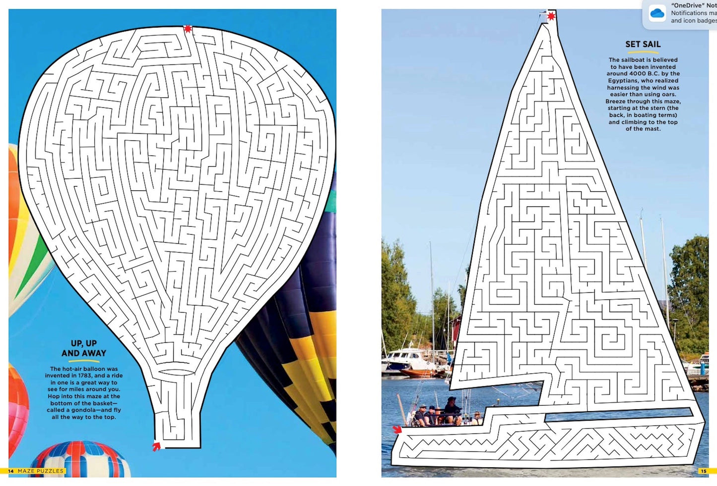 Best Of Brain Fun - Mazes: 48 Puzzles for All Skill Levels with 6 Sections of Fun! Challenge Readers and Elevates the "Maze Craze" to a Whole New Level with Real Life Images!