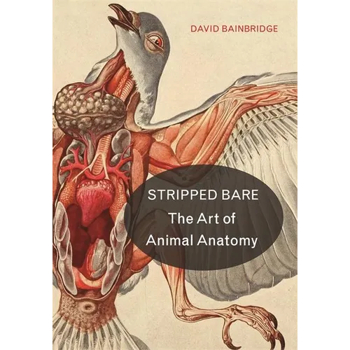 Stripped Bare: The Art of Animal Anatomy