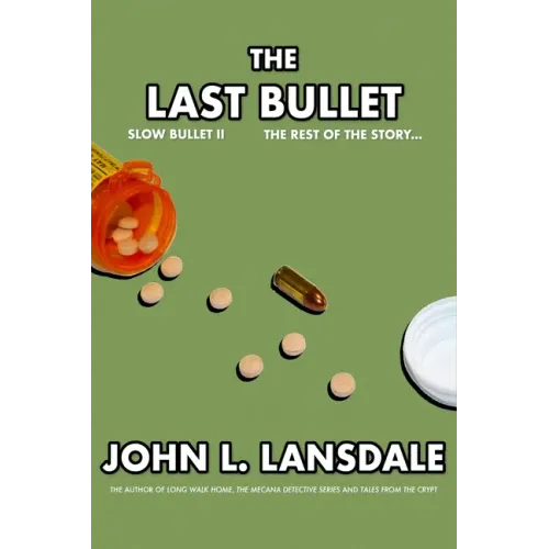 Slow Bullet II: The Last Bullet
