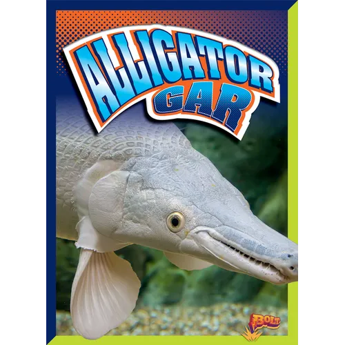 Alligator Gar