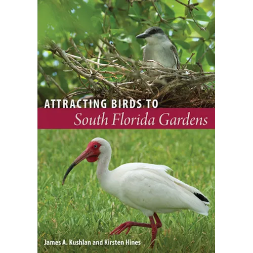 Attracting Birds to South Florida Gardens