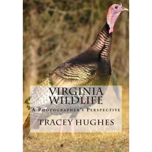 Virginia Wildlife: A Photographer's Perspective