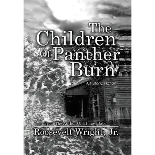 The Children of Panther Burn: A Historic Fiction