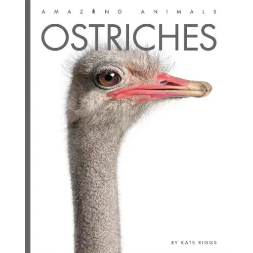 Ostriches