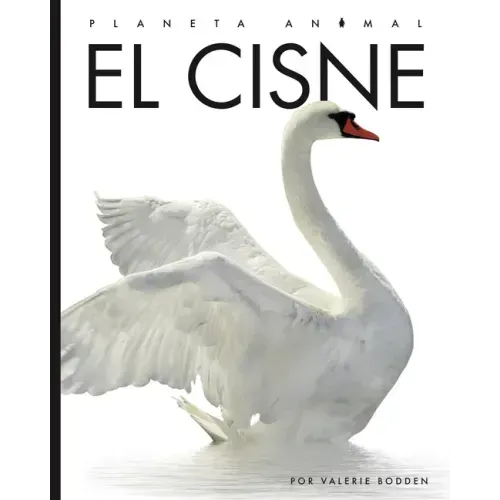 El Cisne