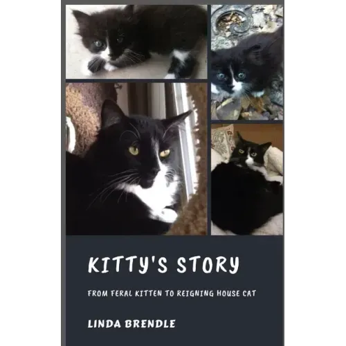 Kitty's Story: From Feral Kitten to Reigning Housecat