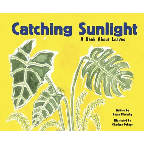 Catching Sunlight: A Book about Leaves