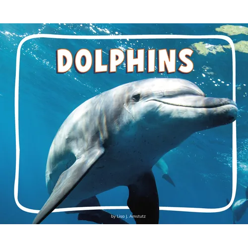 Dolphins