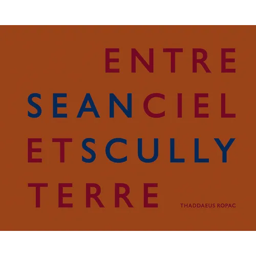 Sean Scully: Entre Ciel Et Terre
