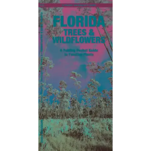 Florida Trees & Wildflowers: A Folding Pocket Guide to Familiar Plants