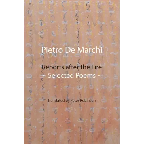Reports after the Fire: Selected Poems
