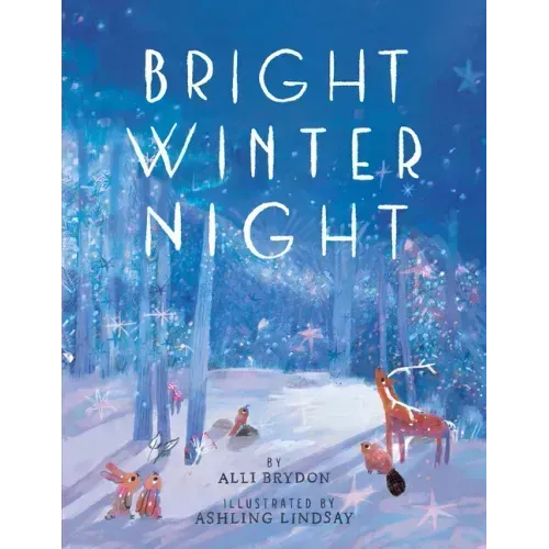 Bright Winter Night