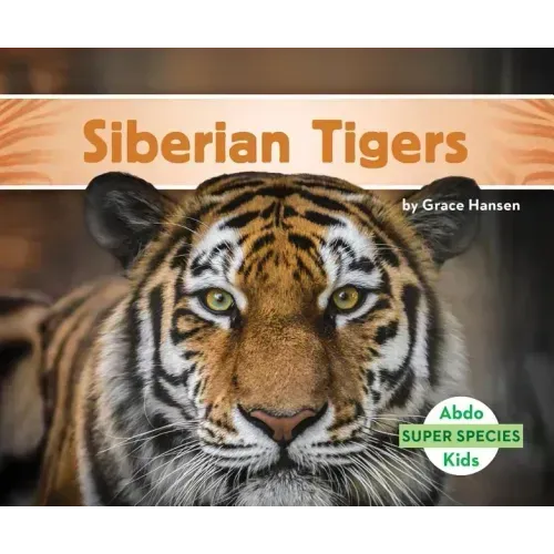 Siberian Tigers