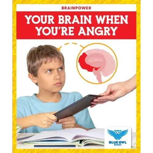 Your Brain When You're Angry