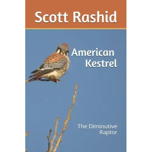 The American Kestrel: The Diminutive Raptor