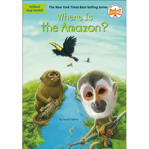 Where Is the Amazon?