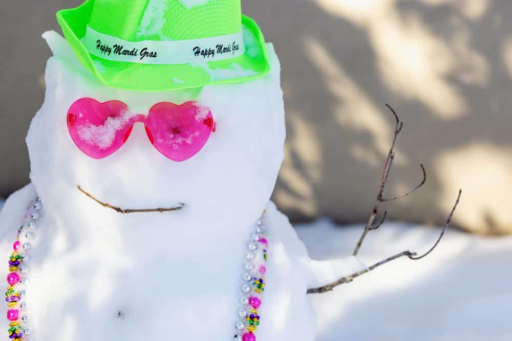 So Much Snow! A Joyous Celebration of the 2025 Louisiana Snowstorm Book