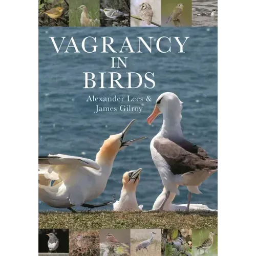 Vagrancy in Birds
