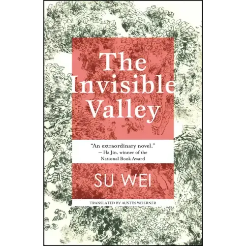 The Invisible Valley