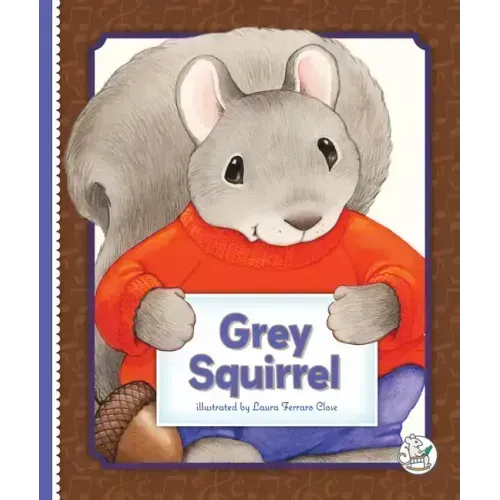 Grey Squirrel