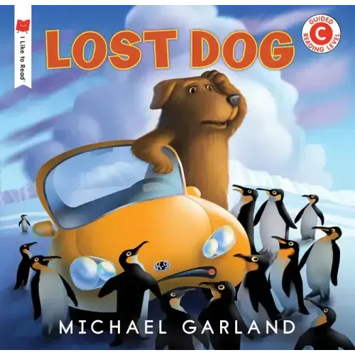 Lost Dog