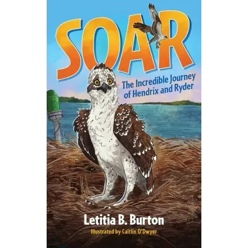 Soar: The Incredible Journey of Hendrix and Ryder