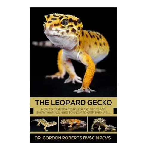 The Leopard Gecko: How to care for your Leopard Gecko and everything you need to know to keep them well.