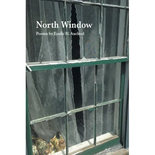 North Window
